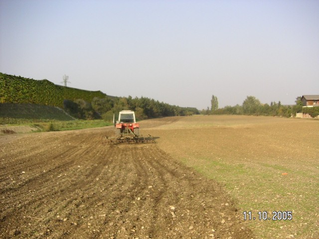 Kottingbrunn 017_1