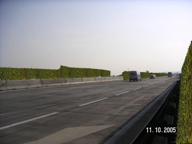 Kottingbrunn 008_1