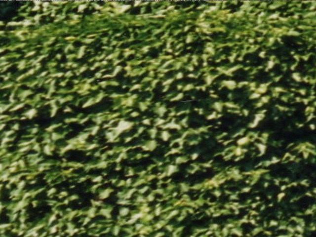 Kottingbrunn 006_1